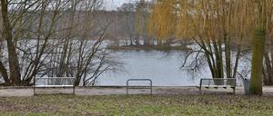 Einfach ans Ufer kommt man in Groß Glienicke nur an wenigen Stellen.