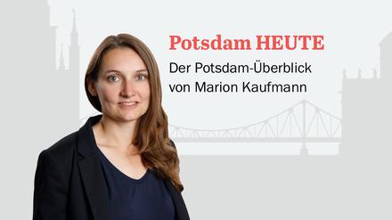 Der PNN-Newsletter - heute von Marion Kaufmann