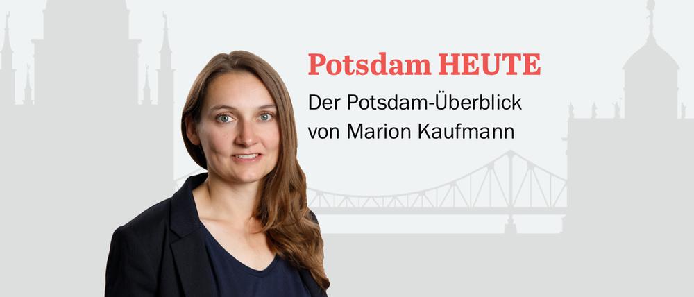 Der PNN-Newsletter - heute von Marion Kaufmann