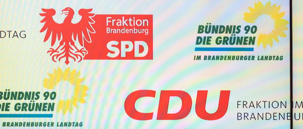 Die meisten Parteien haben in Brandenburg Mitglieder verloren - die Grünen gewinnen hinzu.