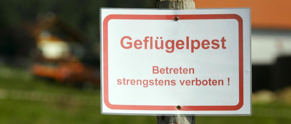 Der N5H8-Erreger ist für Menschen unschädlich, sorgt aber für hohe wirtschaftliche Schäden, wenn sich Nutztiere infizieren. 