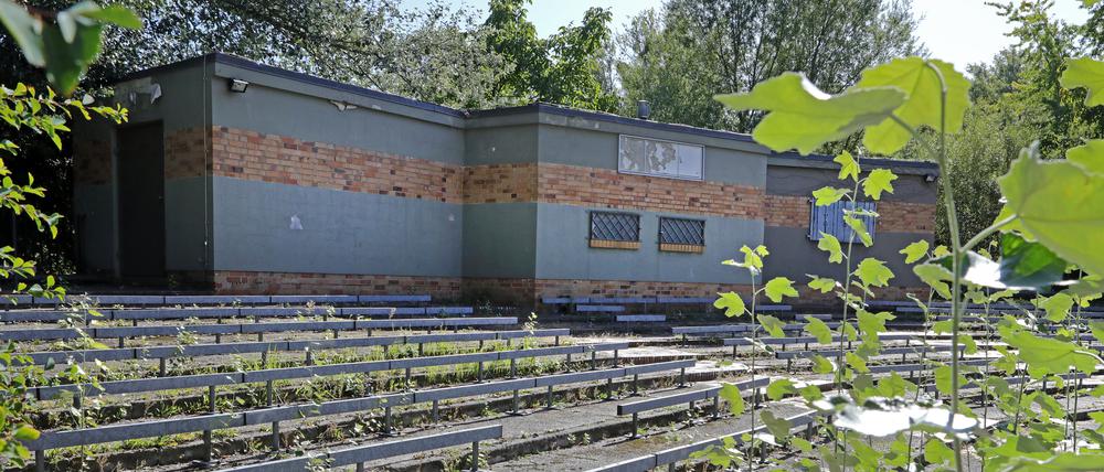 Die Bürgerstiftung Potsdam will die marode Freilichtbühne auf der Potsdamer Freundschaftsinsel noch 2021 wiederbeleben. 