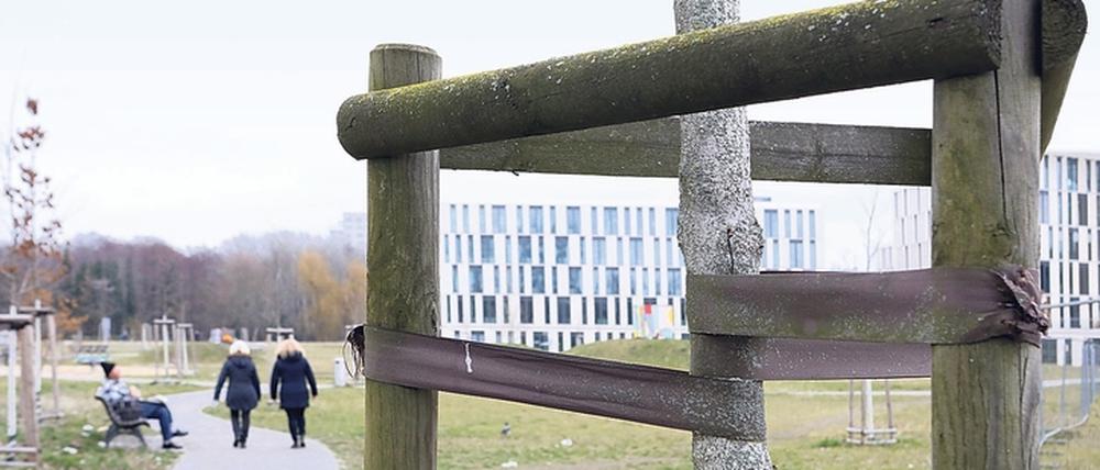 Zahlreichen jungen Bäumen im Nuthepark unweit des Hauptbahnhofs hat der vergangene Hitzesommer zugesetzt.