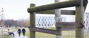 Zahlreichen jungen Bäumen im Nuthepark unweit des Hauptbahnhofs hat der vergangene Hitzesommer zugesetzt. 