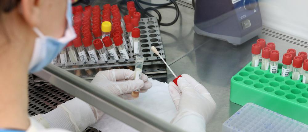 Ein Teil der Proben von PCR-Corona-Tests wird auf Mutationen untersucht.