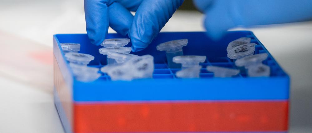 Bislang sind 131 Menschen in Potsdam-Mittelmark im Zusammenhang mit dem Coronavirus gestorben (Symbolbild).