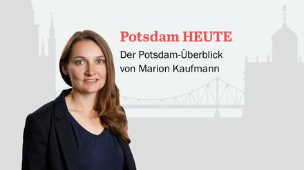 Der PNN-Newsletter - heute von Marion Kaufmann.