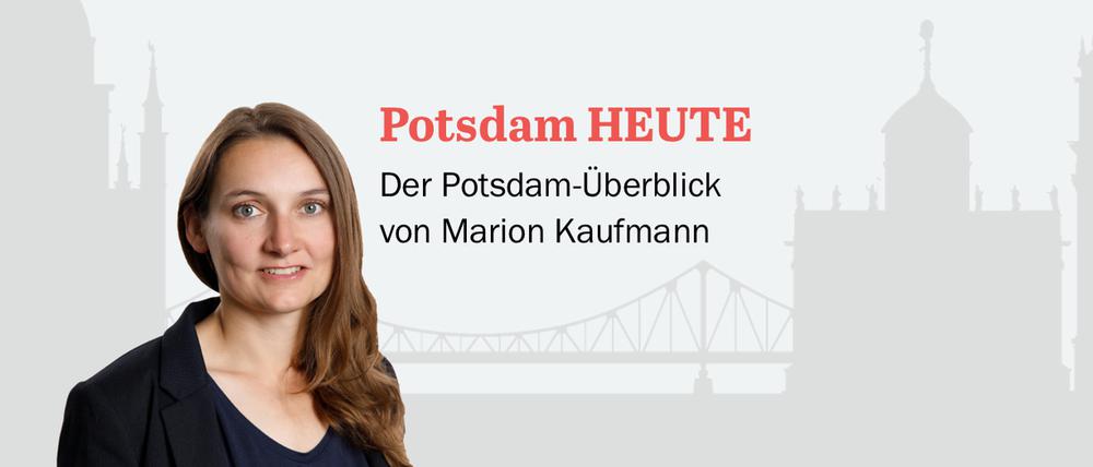 Der PNN-Newsletter - heute von Marion Kaufmann.