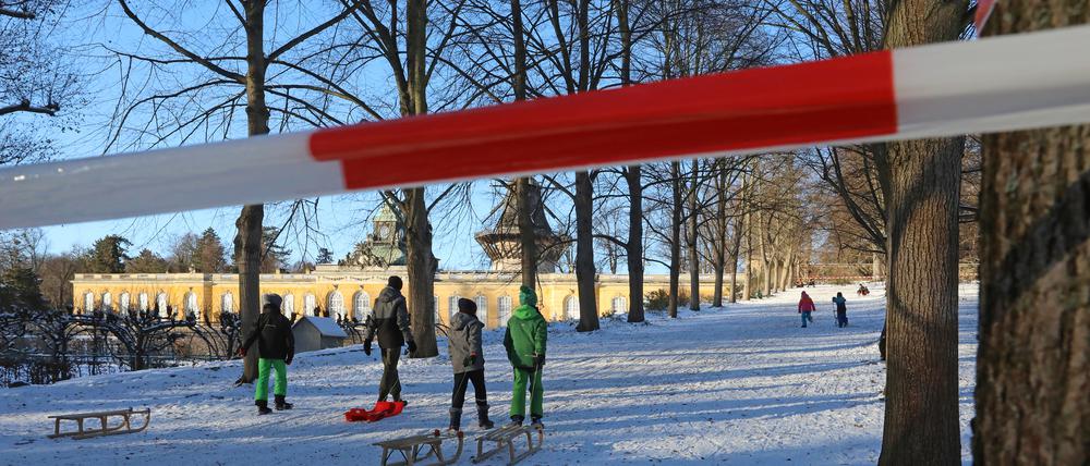 Nicht jeder hält sich an das Rodelverbot der Stiftung im Park Sanssouci