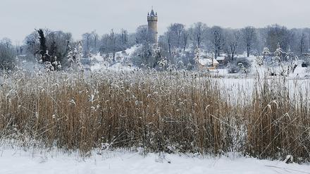 Den Flatowturm im Park Babelsberg fotografierte unsere Leserin Anja Schulz.