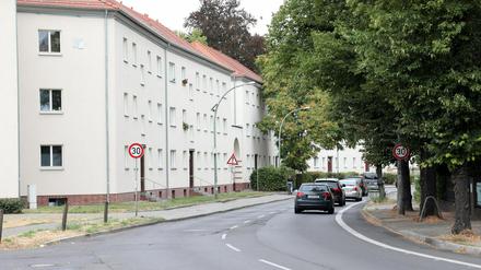 So grün wie im vergangenen Jahr wird es in der Behlertstraße bald nicht mehr