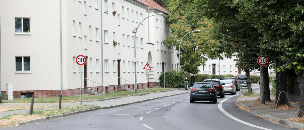 So grün wie im vergangenen Jahr wird es in der Behlertstraße bald nicht mehr