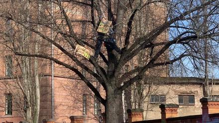Protest gegen Baumfällungen in der Behlertstraße.
