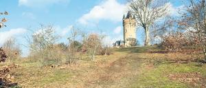 Erträglich oder zerstörerisch? Den Hügeln im Park Babelsberg, hier am Flatowturm, sieht man deutlich an, dass sie als Rodelstrecken genutzt wurden. 