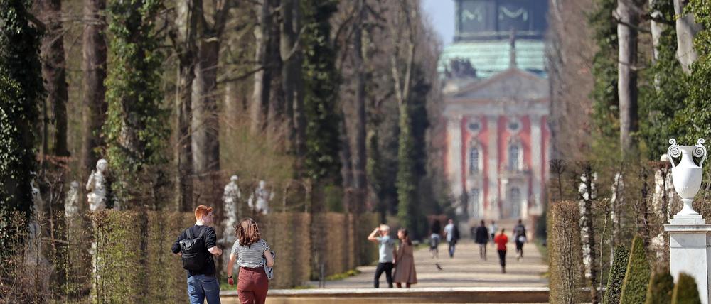 Revier der Schlösserstiftung: Weg durch den Park Sanssouci zum Neuen Palais.