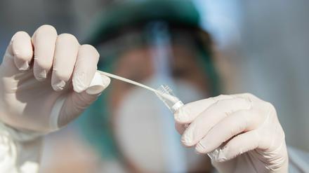 Der Landkreis Potsdam-Mittelmark meldete am Mittwoch 13 Neuinfektionen (Symbolbild).