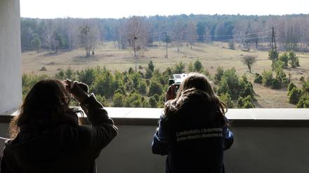 Blick in die Wildnis auf Wanderungen durch den Naturpark Glauer Tal.
