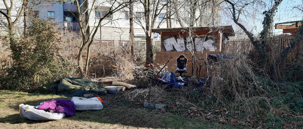 Nach dem Feuer an einem Obdachlosenlager unweit der Seerose in Potsdam.