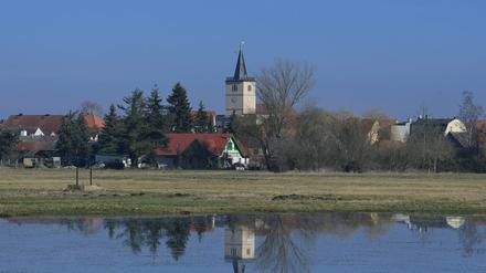 Beelitz wird 2022 Schauplatz der Landesgartenschau.