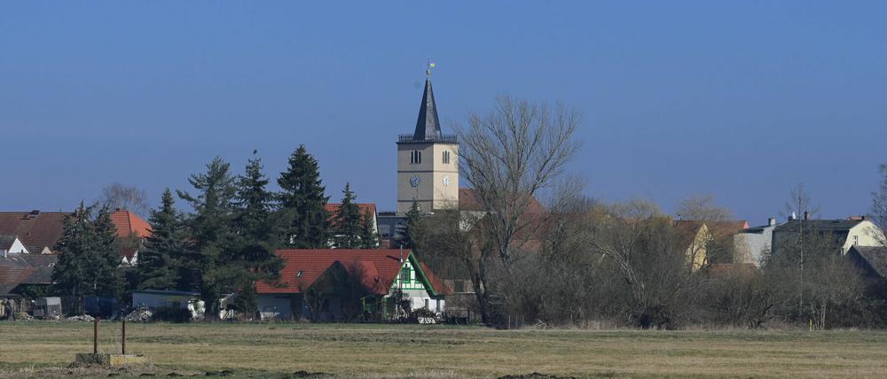 Beelitz wird 2022 Schauplatz der Landesgartenschau.