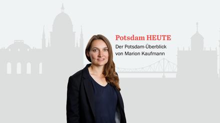 Der PNN-Newsletter - heute von Marion Kaufmann.