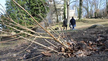 Die Spuren der Rodler am Schloss Babelsberg waren nach dem Schnee nicht zu übersehen