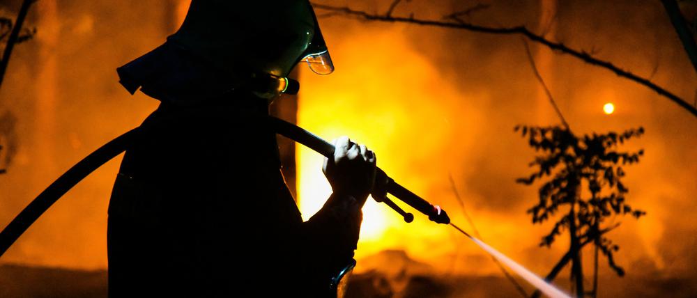 Waldbrand bei Ziltendorf 2019 (Archivbild)