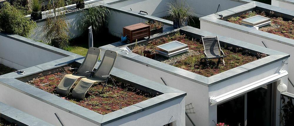 Begrünte Dächer: Davon hält auch Potsdams Rathauskooperation viel (Symbolbild).