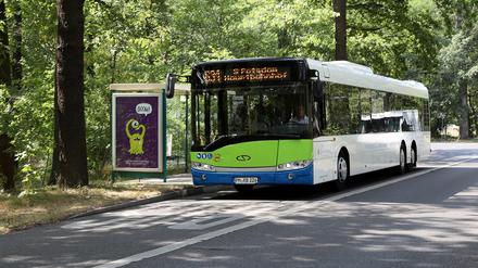 Ein Bus hält an der Haltestelle Pirschheide.
