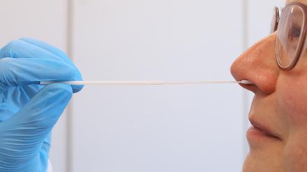 In acht Apotheken in der Mittelmark werden nun Schnelltests durchgeführt. 