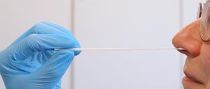 In acht Apotheken in der Mittelmark werden nun Schnelltests durchgeführt. 