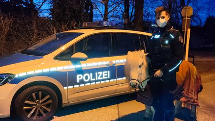 Pony „Luki“ ließ sich problemlos an die Leine nehmen.