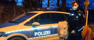 Pony „Luki“ ließ sich problemlos an die Leine nehmen.