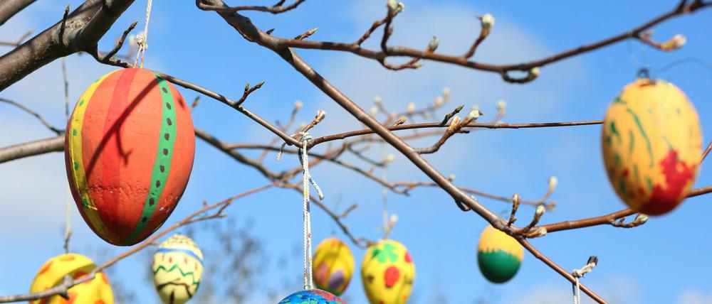 Bemalte Ostereier schmücken in der Osterzeit viele Bäume.