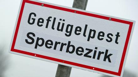 Deutschlandweit gab es bisher 1000 Ausbrüche unter Wildvögeln.