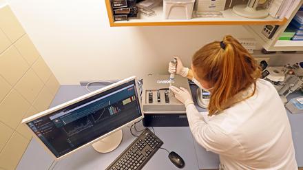 Corona-Tests und Sequenzierung im Ernst-von-Bergmann-Klinikum.
