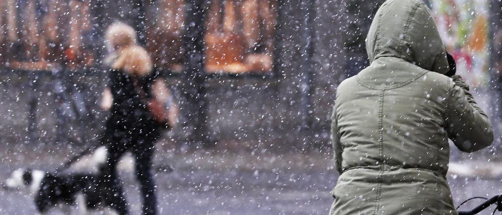 Am Dienstag ging ein Schneeschauer über Potsdam nieder.