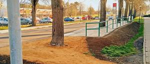 An der neuen Haltestelle in Groß Glienicke ohne direkten Zugang zum Fußweg wurde zumindest ein temporärer Weg angelegt.