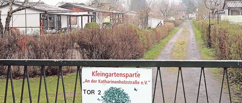 Die mehr als 100 Mitglieder des 1979 gegründeten Kleingartenvereins an der Katharinenholzstraße fragen sich, wie es weitergeht.