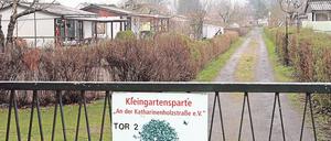 Die mehr als 100 Mitglieder des 1979 gegründeten Kleingartenvereins an der Katharinenholzstraße fragen sich, wie es weitergeht.