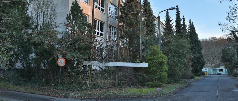 Das Gelände an der Pappelallee soll auch eine Schule aufnehmen - offen ist der Schultyp.