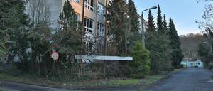Das Gelände an der Pappelallee soll auch eine Schule aufnehmen - offen ist der Schultyp.