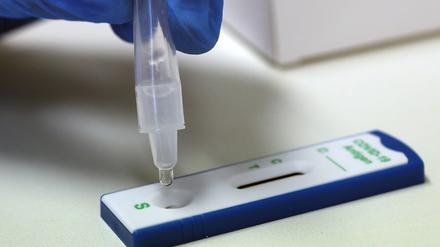 In Potsdam wurden 22 neue Infektionen entdeckt