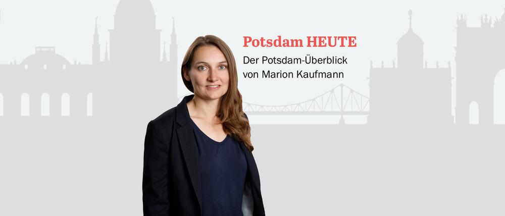 Der PNN-Newsletter - heute von Marion Kaufmann.