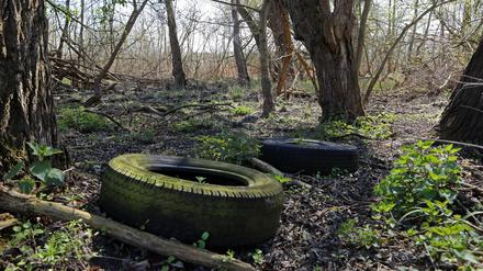 Illegal entsorgte Autoreifen im Naturschutzgebiet Obere Wublitz bei Uetz-Paaren.