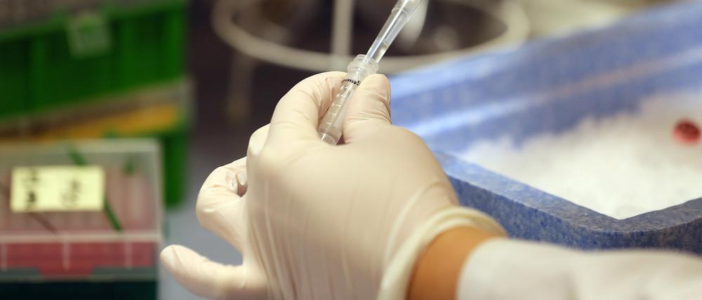 In Potsdam ist die Inzidenz wieder gestiegen. (Symbolbild)