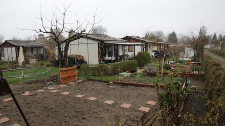 Die Rathauskoalition will die Kleingartenanlage "An der Katharinenholzstraße" in Bornstedt dauerhaft sichern. 