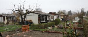 Die Rathauskoalition will die Kleingartenanlage "An der Katharinenholzstraße" in Bornstedt dauerhaft sichern. 