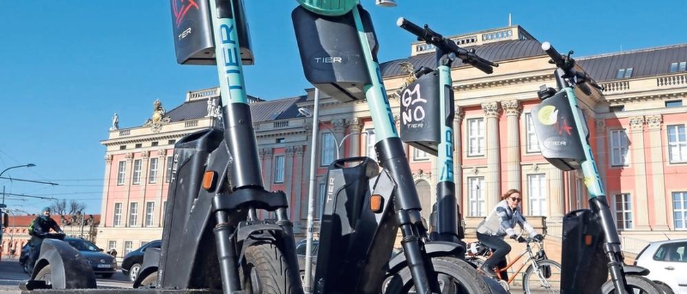 Platzhirsch. Mit 450 E-Scootern ist der Anbieter Tier in Potsdam vertreten.
