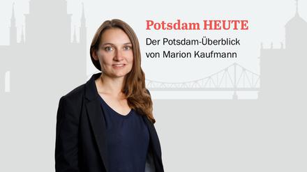 Der PNN-Newsletter - heute von Marion Kaufmann.